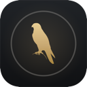 PageHawk icon